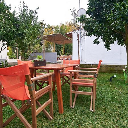 Sunset Studios - Suites With Seaview & Back Side Apartements Torone Exterior foto